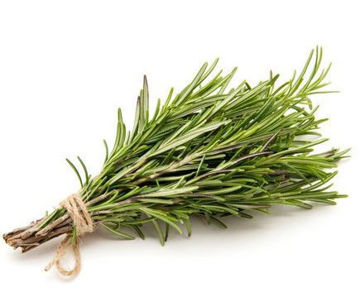 Buy Rosemary Online