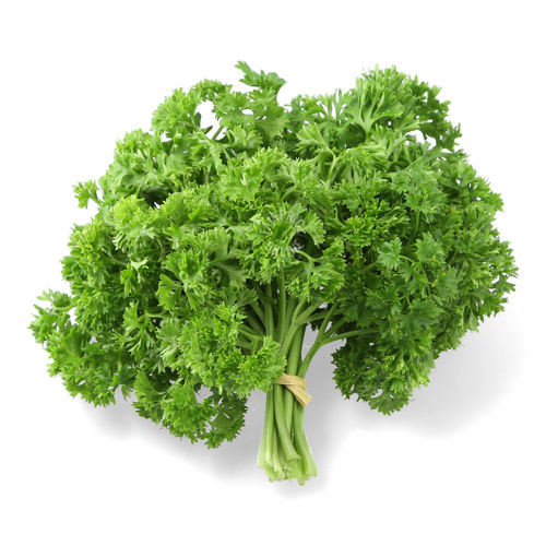 Buy English Parsley Online