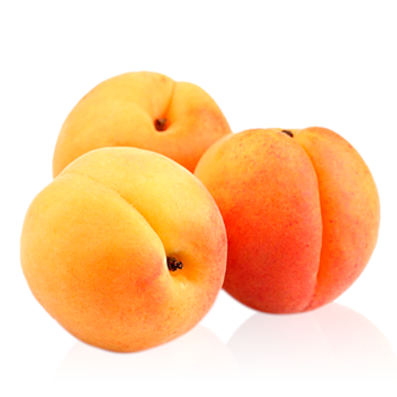 Apricot Online