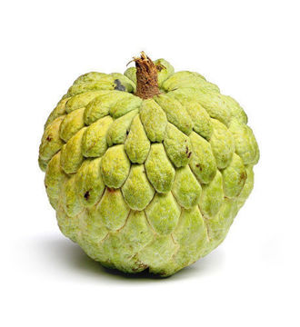 	Buy Custard Apple Online