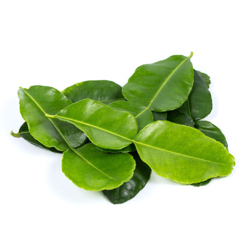 Buy Lime Leaves Online