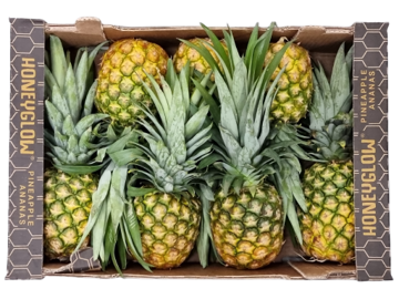 Buy Pineapple Honeyglow Box Online