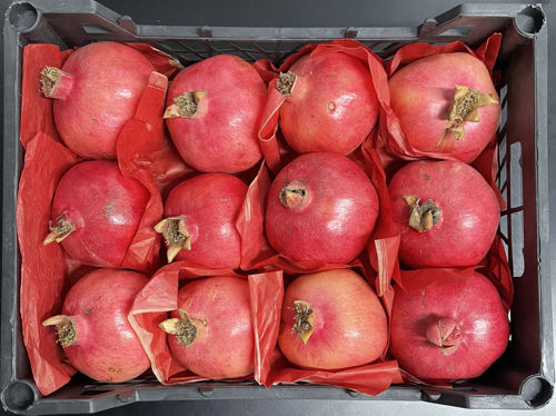 Buy Pomegranate Box Online