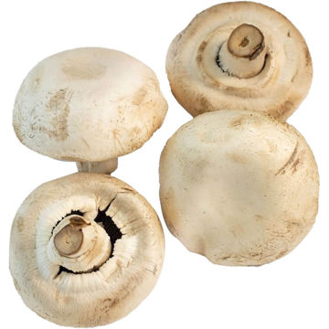 Picture of Giant Mushroom 250g
