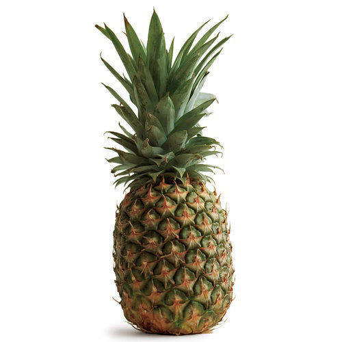 Picture of Pineapple Philippines