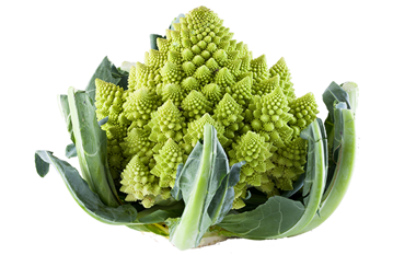 Picture of Broccoli Romanesco