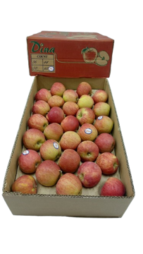 Picture of Apple Red Dina Box  8 kg