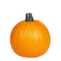 Picture of Halloween Pumpkin
