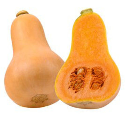 Picture of Butternuts Spain