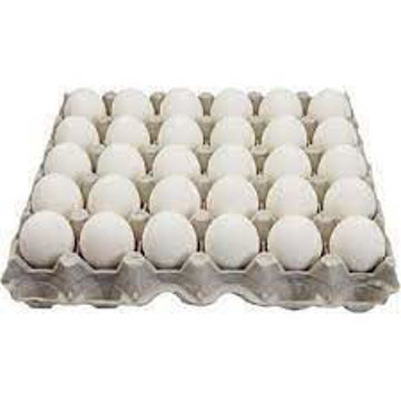 Picture of Turkey White Eggs 30's (Loose)